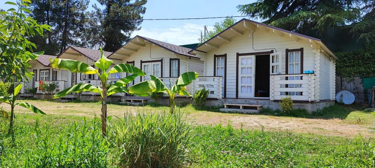 Lukomorye Pizunda Exterior foto